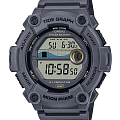 Часы Casio Collection WS-1300H-8AVEF