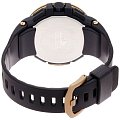 Часы Casio Pro Trek PRW-7000V-1D фото 3
