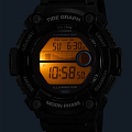 Часы Casio Collection WS-1300H-8AVEF фото 5