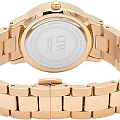 Часы Daniel Wellington Iconic Link DW00100567 фото 3