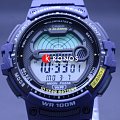Часы Casio Collection WS-1200H-2A фото 2