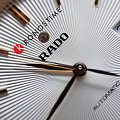Часы Rado Coupole Classic Automatic R22861115 фото 5