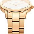 Часы Daniel Wellington Iconic Link DW00100567 фото 11