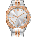 Часы DKNY Brooklyn Maxi DK1L011M0085